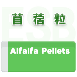 苜蓿粒