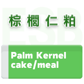 棕櫚仁粕