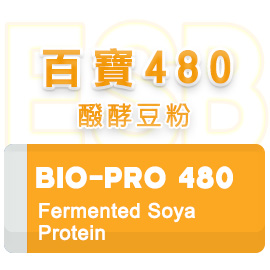 百寶 480