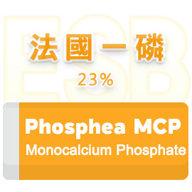 法國一磷 23%