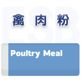 禽肉粉